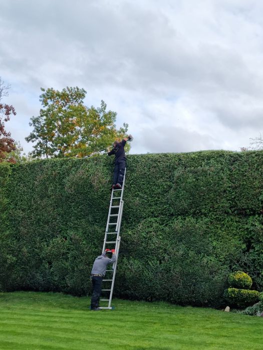 Serviços de jardinagem e limpeza de espaços verdes