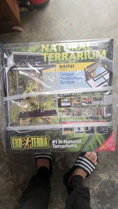 Terrário exoterra 
Tem o vidro lateral partido.

Medidas: 30x30x45

Possibilidade de entregar em mãos na zona de Lagos e