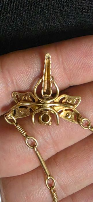 1895 Libélula com olhos de rubi 24k