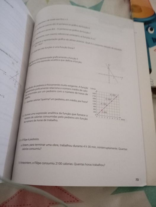 Caderno de atividades-Pi8 matemática