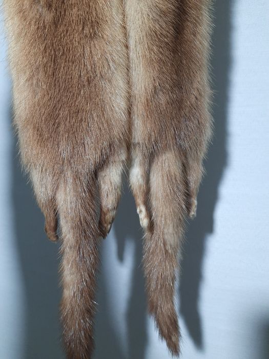 Шкурка норки золотистий беж натуральний колір  2 шт