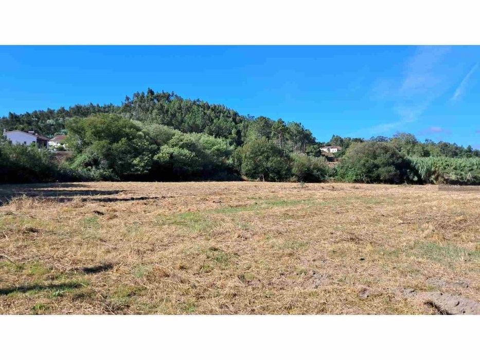 Prédio Misto Com Pavilhões, Terreno Agrícola E Eucaliptal - Asseiceira