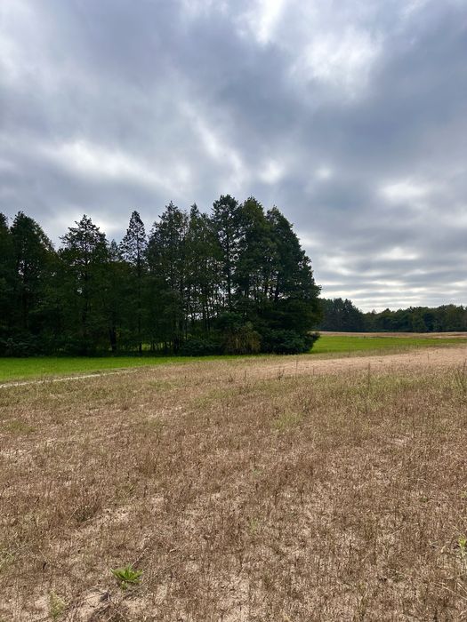 Działka budowlana jezioro las warunki zabudowy media