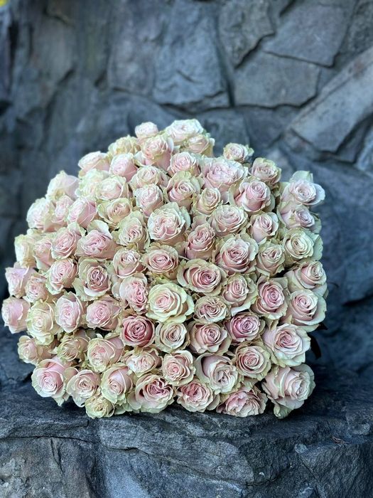 101 троянда, доставка квітів рози оптом