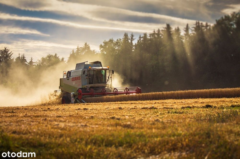 Dzierżawa gruntów rolnych