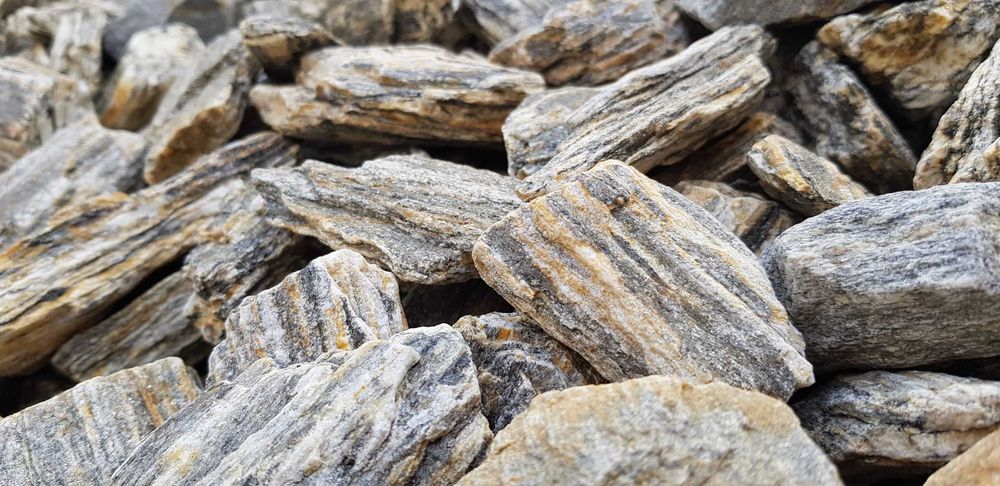 Grys granitowy czarny dalmatyńczyk