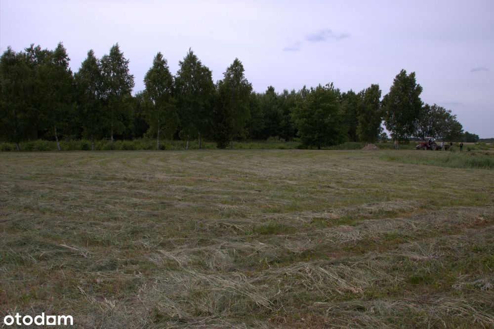 Zdjęcie 4