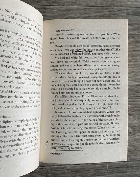 Freida McFadden "Never Lie"