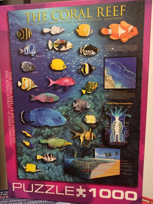 Пазл Eurographics