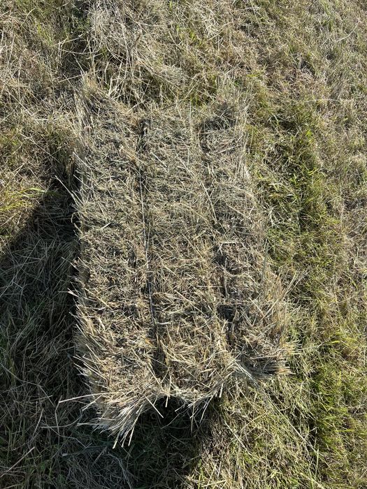 Сіно різнотравʼя в тюках.