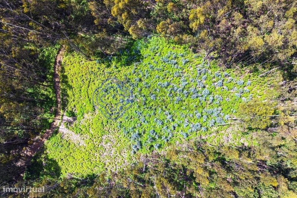 Rustic Land in Agroforestry Zone — Fonte dos Almocreves, Santa Cruz