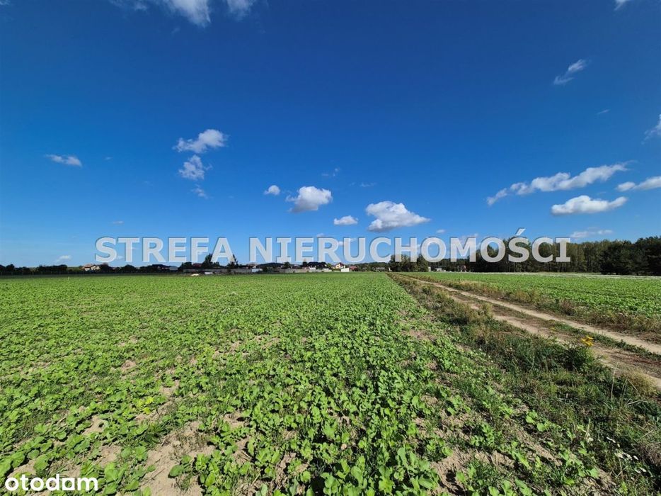 Karolinów, Działka Z Wz, Pow. 1185 M2 - Widok 5