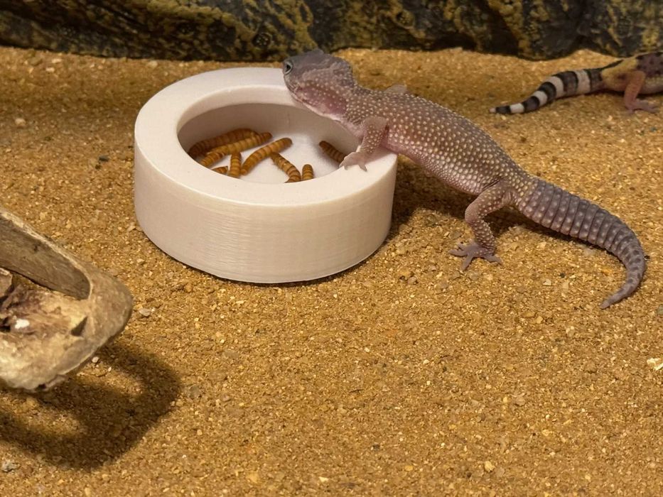 Karmnik w Terrarium Druk 3D PLA Jaszczurki Gady Pająki Ślimaki