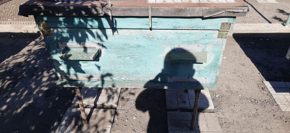 улики, лежаки, корпусні 12, вулики