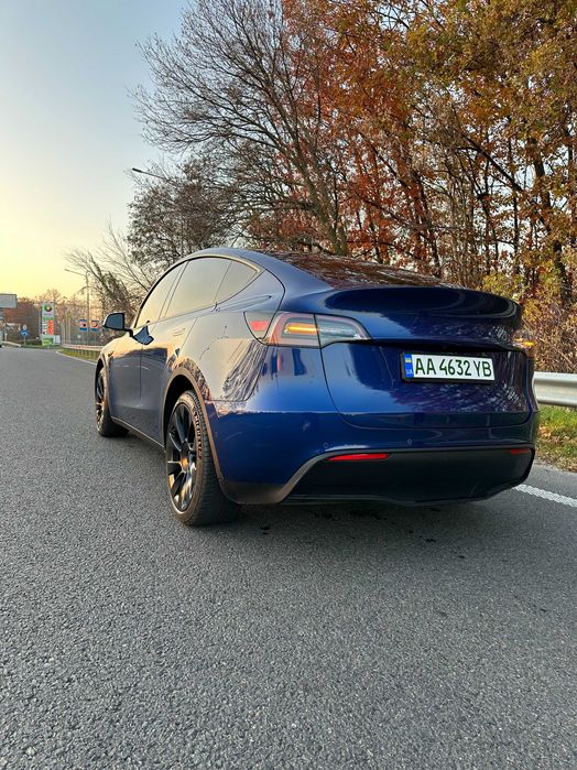 Tesla Y   2020 р    52 тис.км, синя