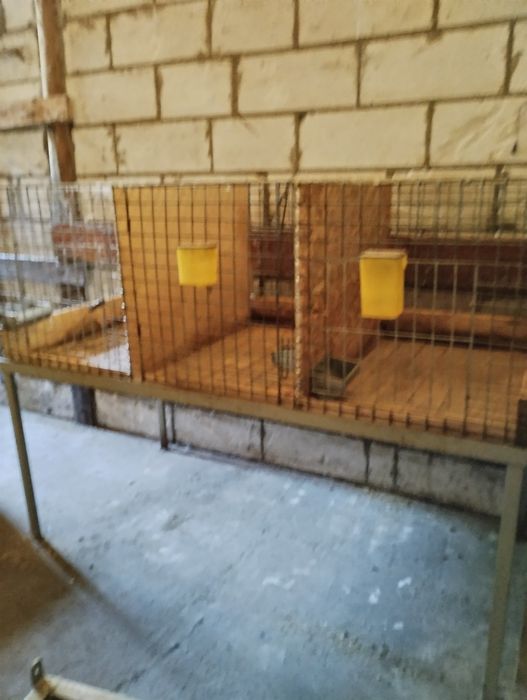 Klatki dla królików z wyposażeniem