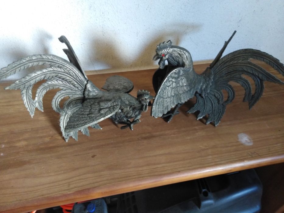 Casal Galo e Galinha