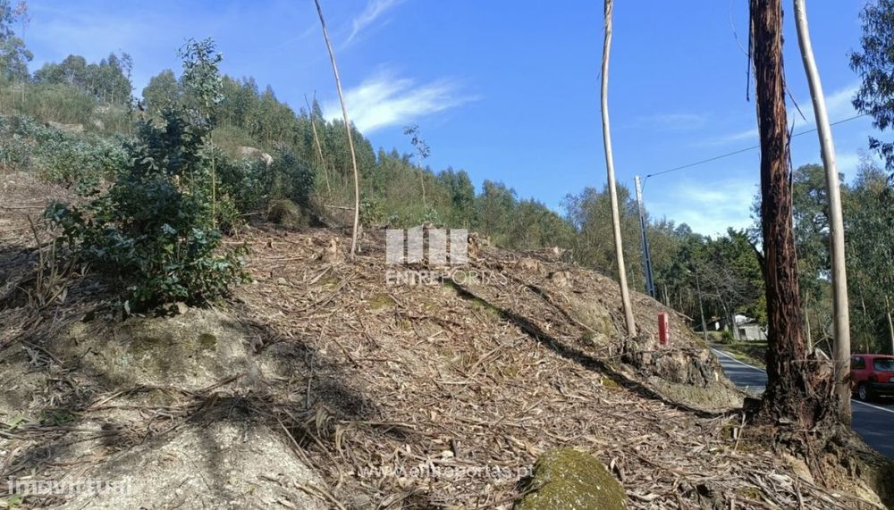 Venda Terreno  Vila Cova Penafiel