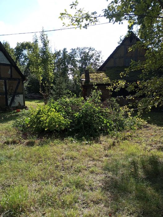 Mielenie gałęzi rębakiem spalinowym