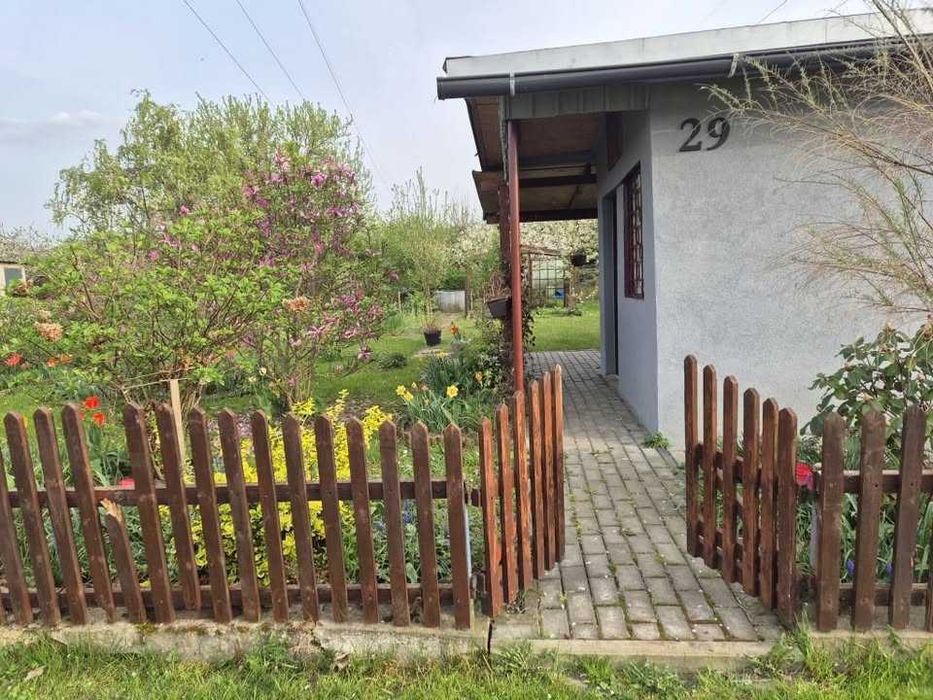 Ogródek działkowy ROD Relaks Bogatynia