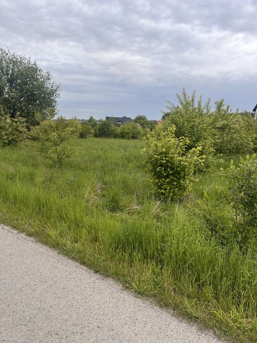 TANIO!Mulczer,rekultywacja, powierzchniow wglebny