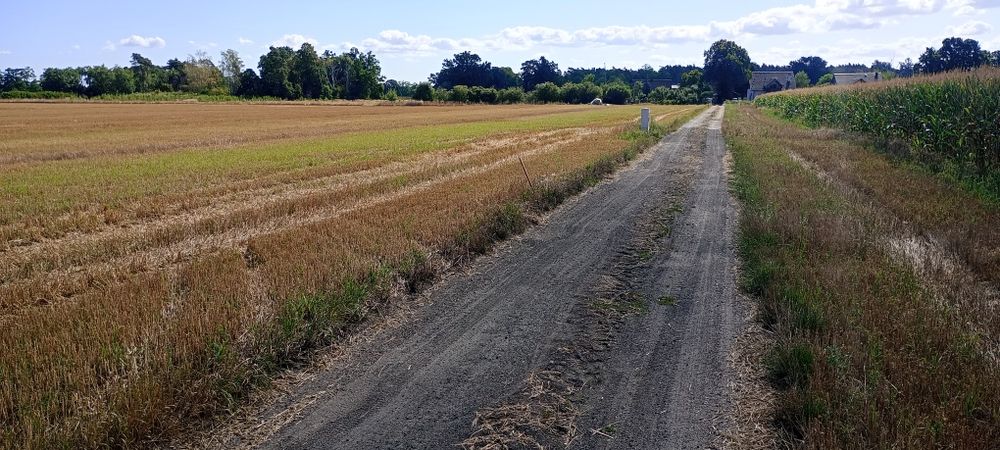 Działka budowlana w miejscowości Miodary 8,63a, z WZ