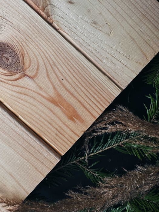 Планкен у Харкові