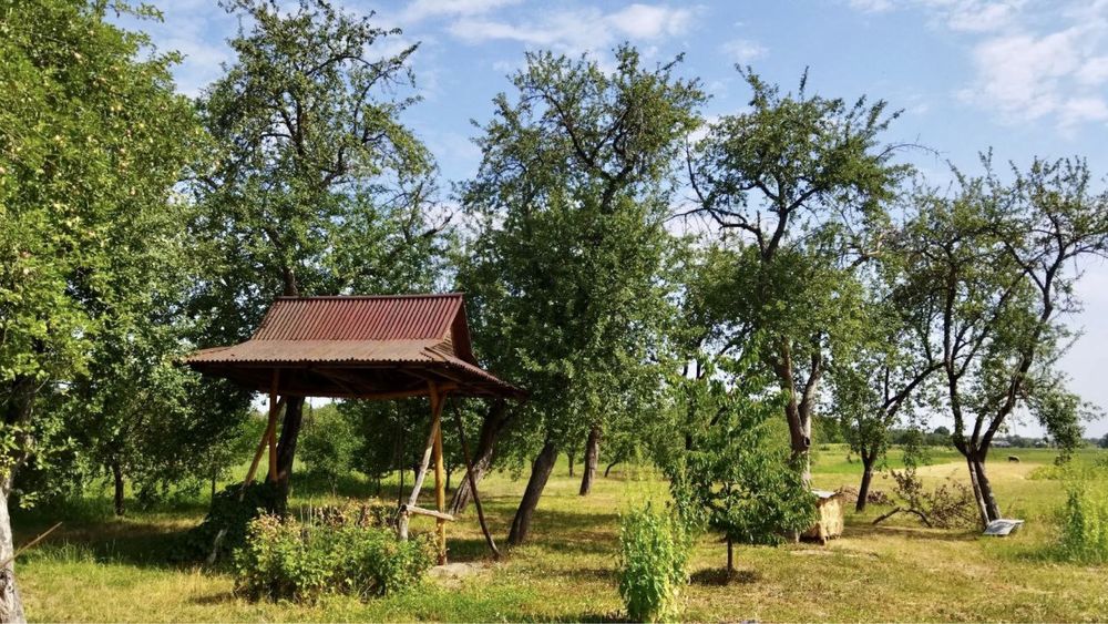 Довгострокова оренда котеджу в Карпатах