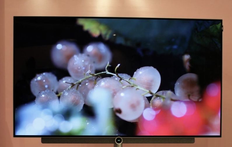 Televisão Loewe Bild 3.55 Oled