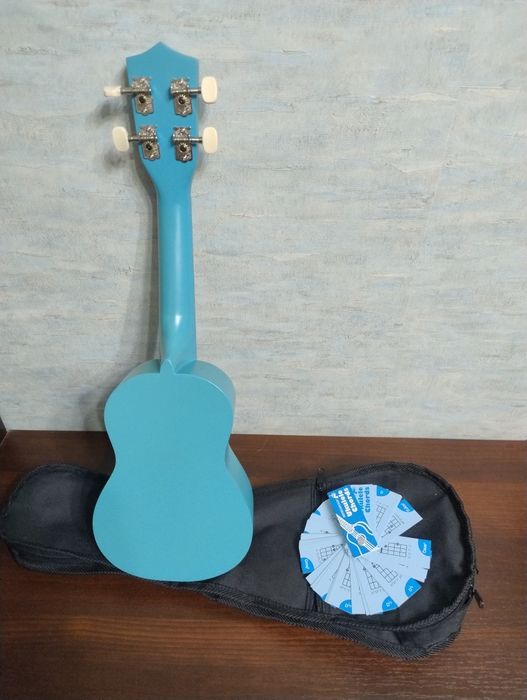 Укулеле Kapua Figure UKU2-LBL (сопрано) з чохлом.

Це фітнес-колесо Do