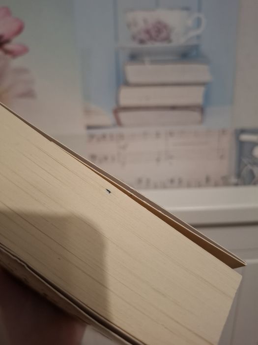 Książka siódma plaga James Rollins