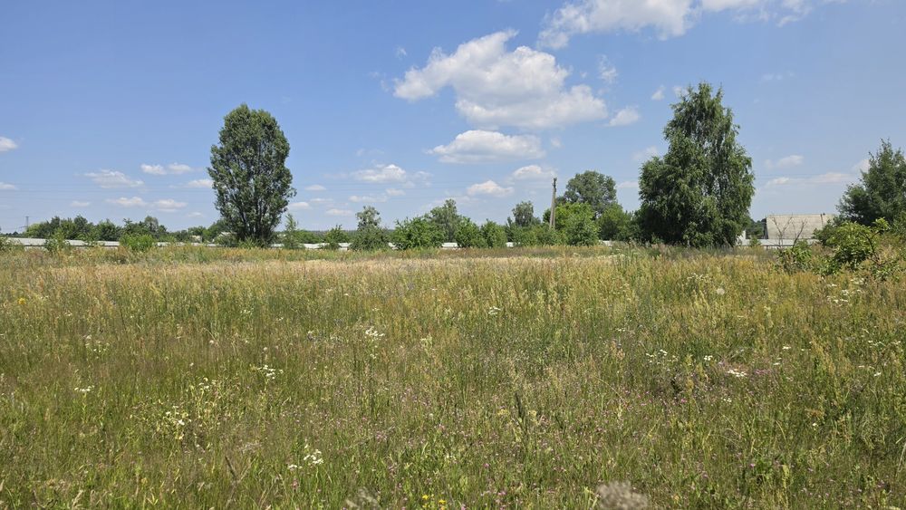 Вишгородський район. с. Тарасівщина. Ділянка з гаражем.
