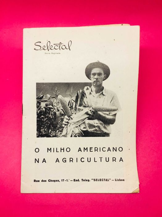 O Milho Americano na Agricultura