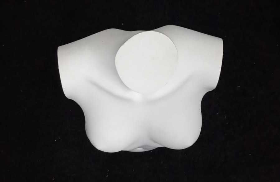 Busto Branco de Mulher