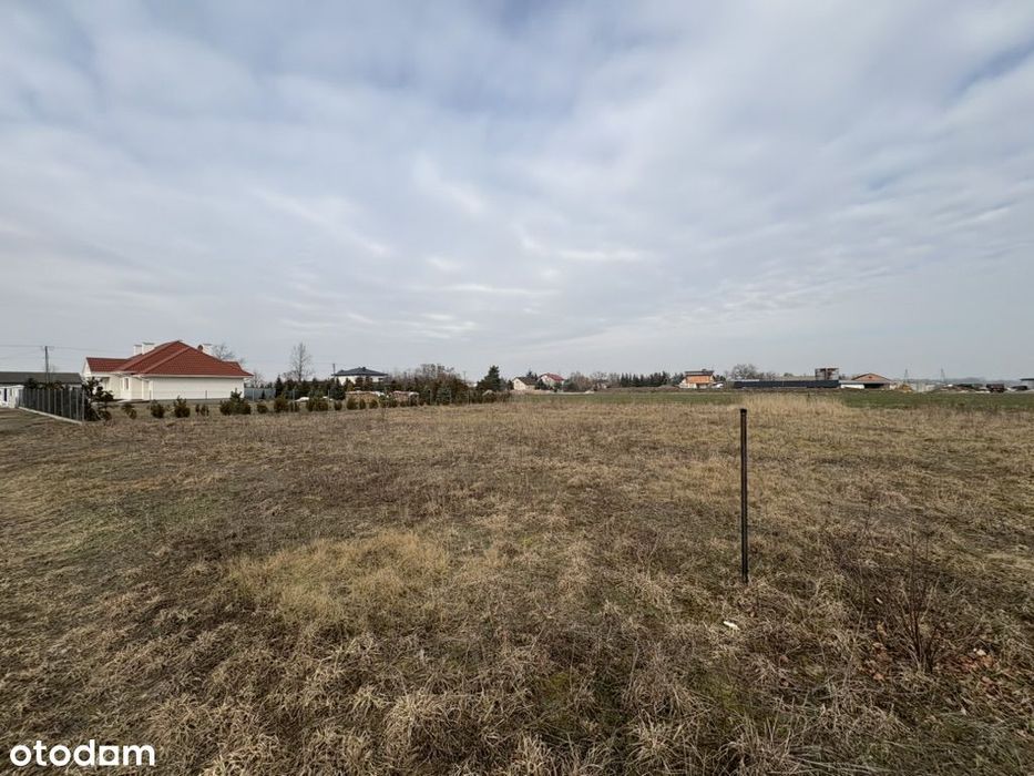 Działki rolne, Orłów, gm. Nowa Sucha - Widok 5
