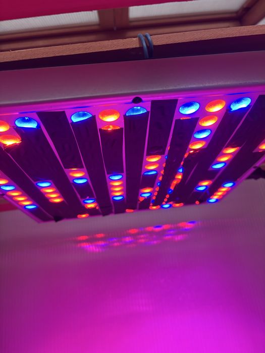 Witryna do roslin+oswietlenie led