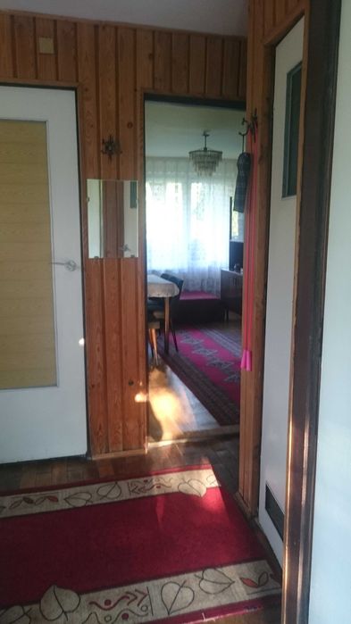 Działka ROD w Chełmnie.