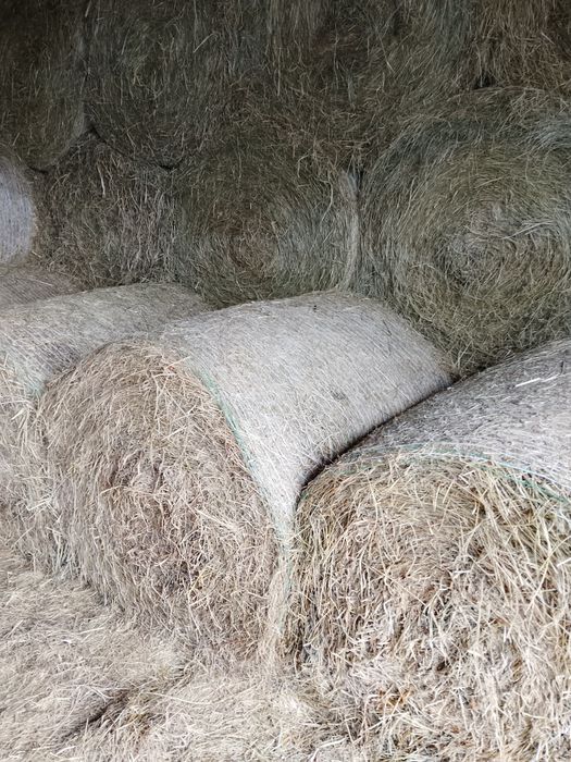 Sprzedam siano dobrej jakości