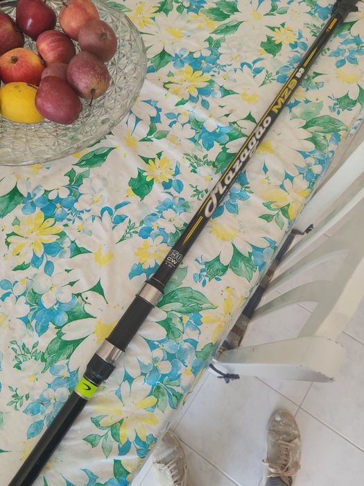 Cana de pesca  mais saco