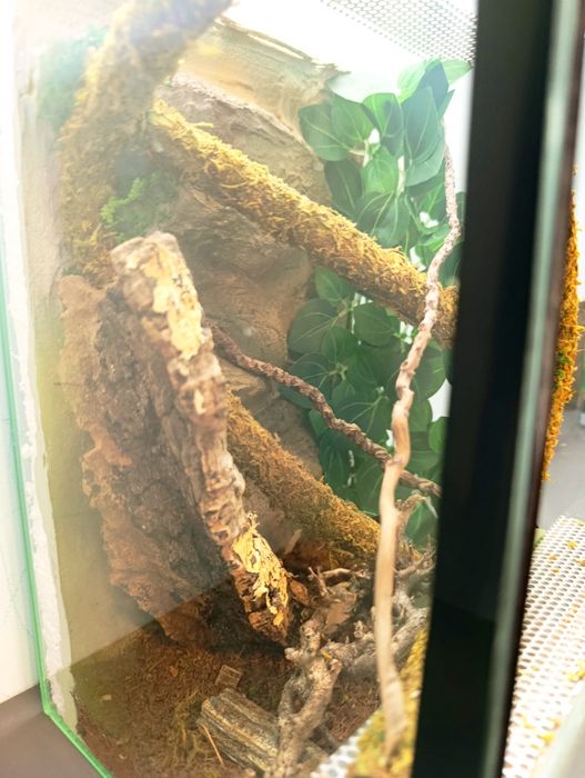 Terrarium wyposażone