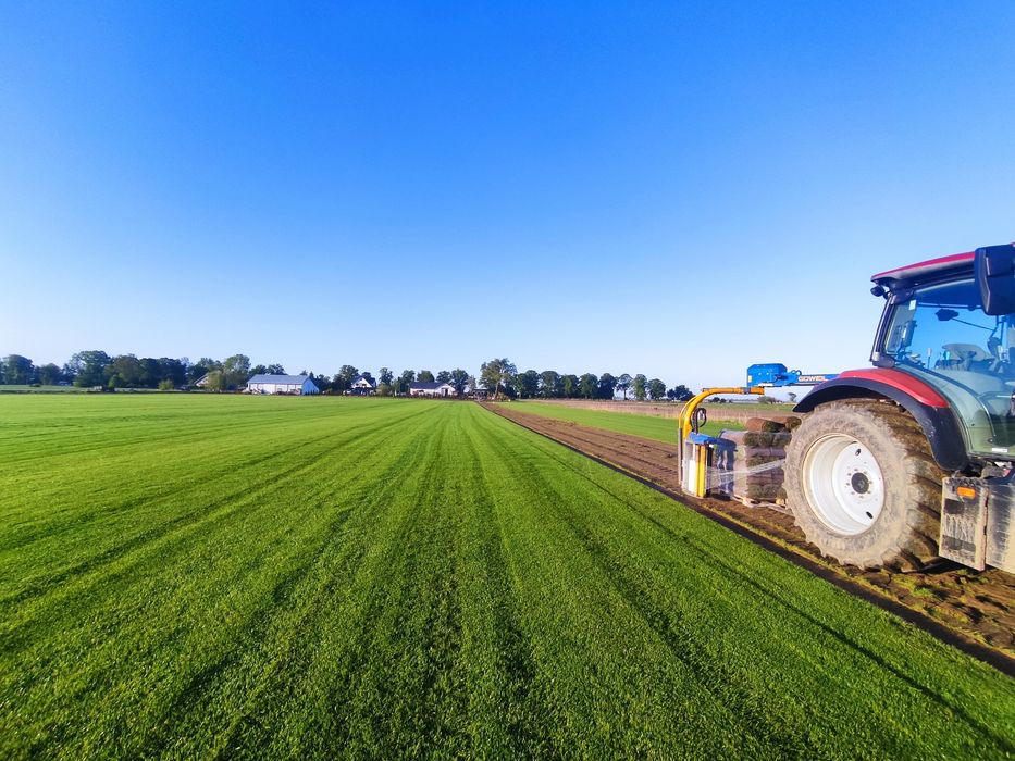 Trawa z rolki / Wzmocniona Siatką/Roll_Grass  Producent Roll_Grass