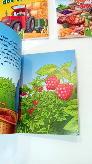 Livros da Coleção - Mini Livros
