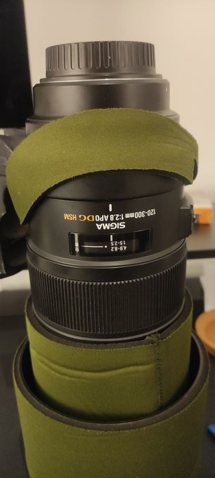 Sigma 120-300mm f/2.8 EX DG HSM