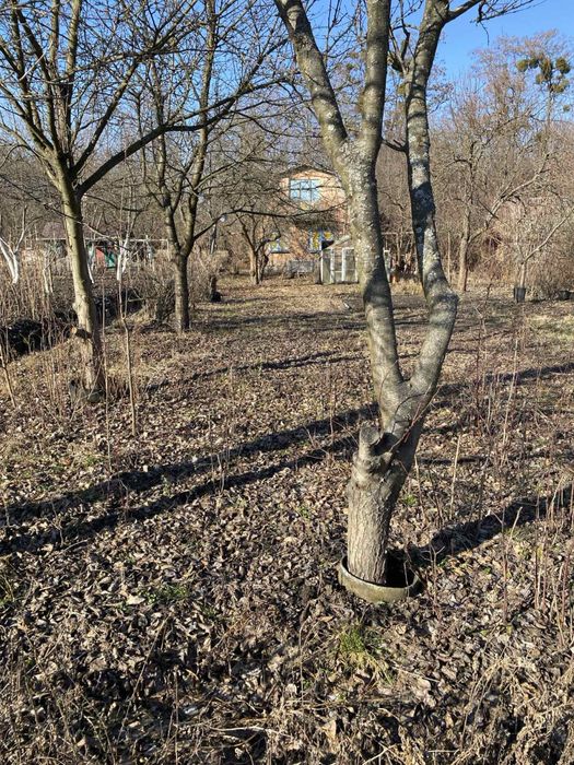 Дача 1,5 поверхова