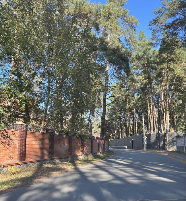 Продаж дідянки 2.9 га Романків , Ходосівка ,під будівництво