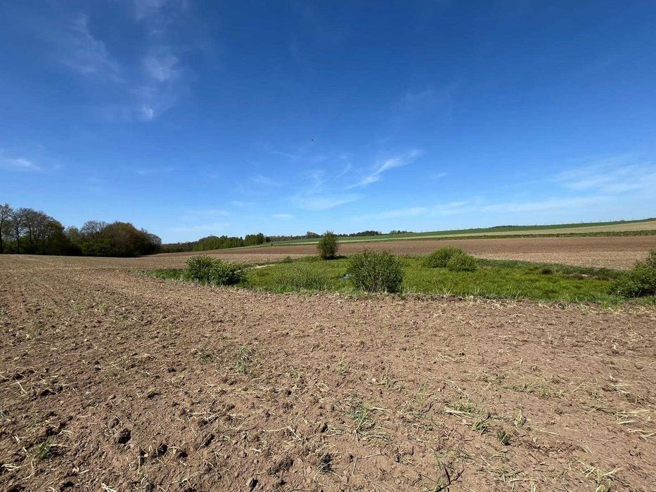 sprzedam dom wraz z zabudowaniami