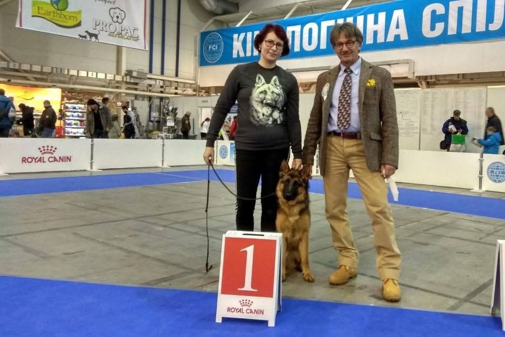 Німецька вівчарка puppies