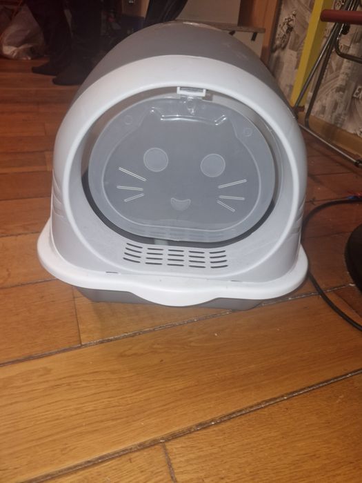 Котячій закритий туалет