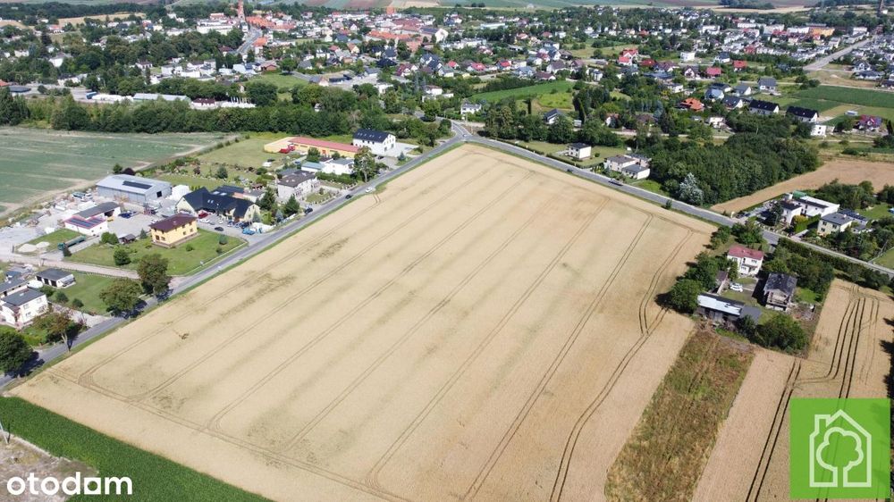 Działka, Unisław - Widok 4