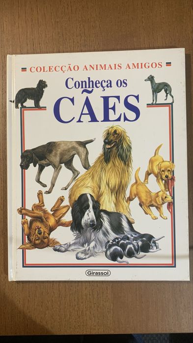 Conheça os cães - girassol